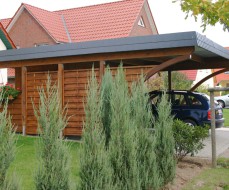 Carport mit Bogenpfosten