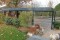 Doppel-Carport - BRANDL