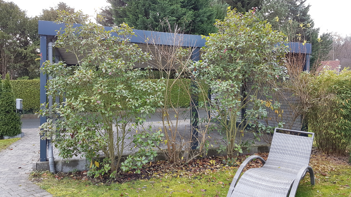Doppel Carport BRANDL